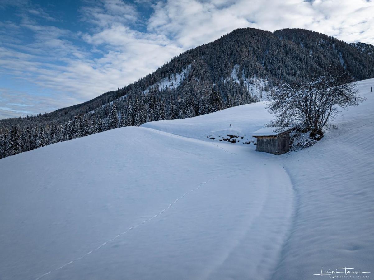 Haus Egger Lägenhet Kartitsch Exteriör bild